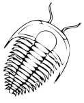 Montessoriskolan Trilobiten
