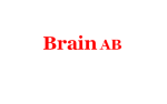 BRAIN AB