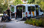 Svarsvik Trafik och Transport AB
