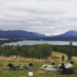 Kolåsens Fjällhotell