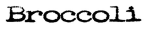 Broccoli Engineering AB