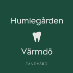 Vighed tandvård AB