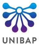 Unibap Space Solutions AB publ