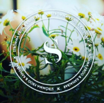 Strömma Krog & Kanalbar AB