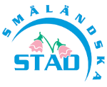 Småländska Städ i Växjö AB