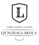 Holsljunga Friskola AB svb