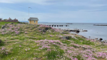 Torekovs Turist- och Badförening
