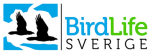 Sveriges Ornitologiska Fören Birdlife Sverige