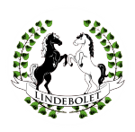 Lindebolarna, Fören