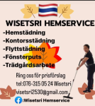 Wisetsri Hemservice AB